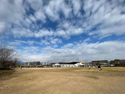 Lawn Field