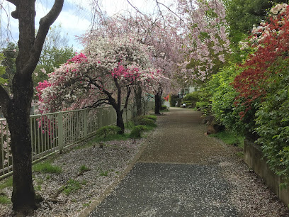 Towa Green Space