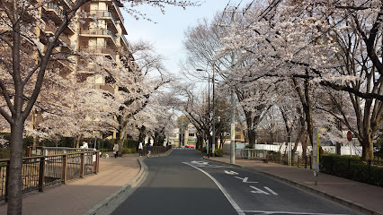 Sakurazutsumi Park