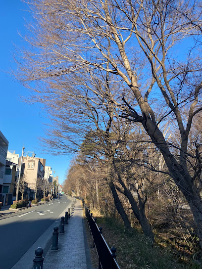 玉川上水かぜのみち