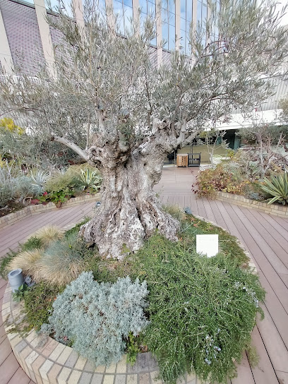 Sora Garden