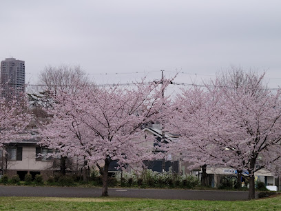 Wadabori Park Seibiyama Athletic Field