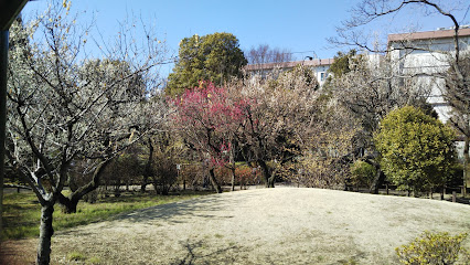 Tagara Plum Grove Park