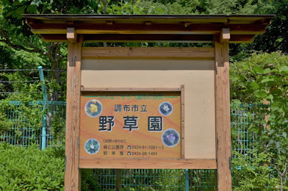 Chofu City Wildflower Garden
