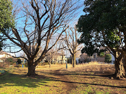 Koadachinobinobi Park