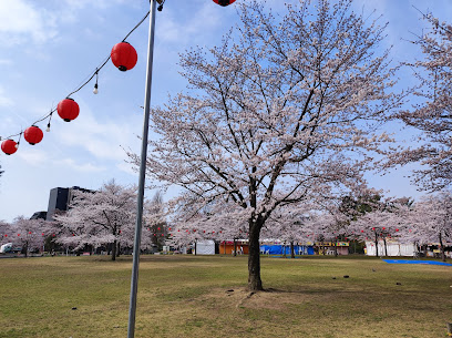 Cherry-blossom viewing square