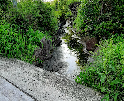 岩戸川緑道
