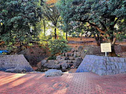 平和の森公園 滝の広場