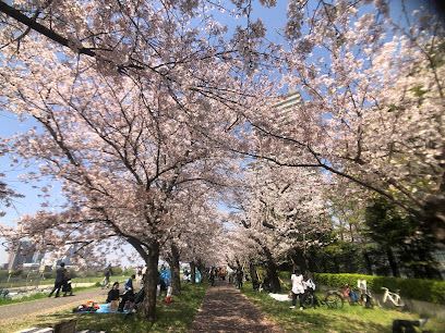 Tamagawa Gas Bridge Green Space