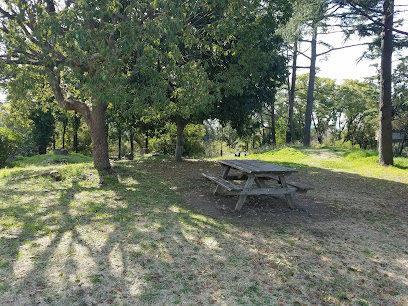ブータン王国庭園