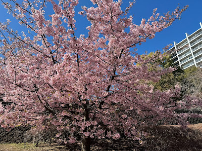 みんなの公園 西口広場