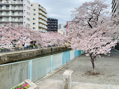 Ishizakigawa Park
