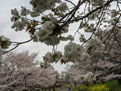 Koganei Park