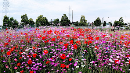 三鷹市 花と緑の広場