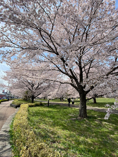 街路樹モデル園