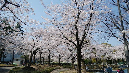 Dotoku Park