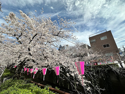 Meguro River