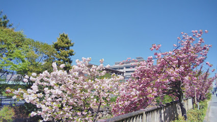 堀川 遊歩道