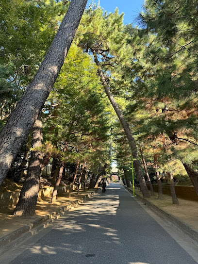 Pine trees along the approach to Gotokuji Temple