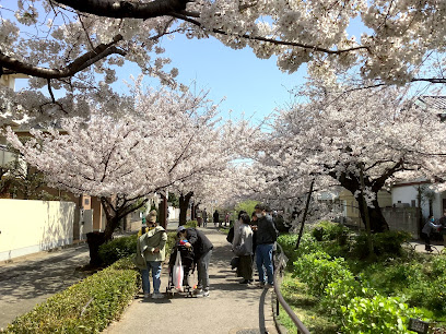 Seseragi Park