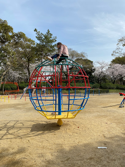 公園の広場