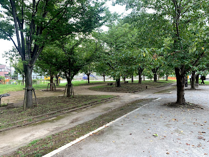 Niizokodama Ryokuchi Park