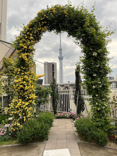 Komagatabashi Pocket Park