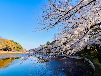 Omiya Park