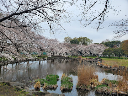 Minuma-Hikawa Park