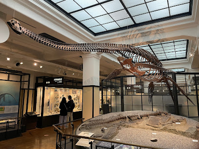 National Museum of Nature and Science - Global Gallery