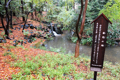 Sleeping Waterfall