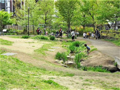 おとめ山公園 水辺のもり