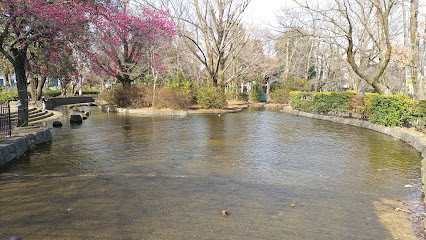 Kuriyama Park