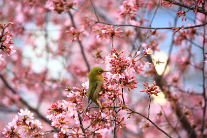 Oji Ekimae Park