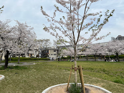 おもいでの森