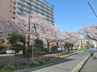 Bunka Park
