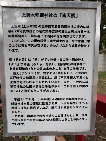 南天櫻