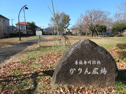 Karin Square