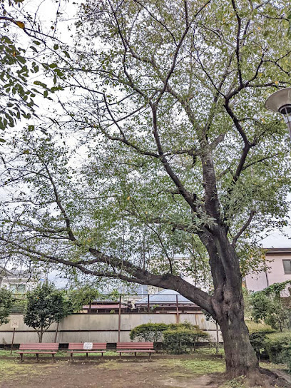Nakano Kuritsu Kamitakada Sanchome Park
