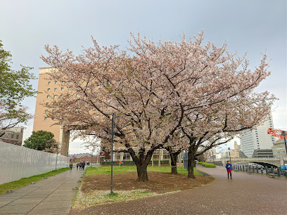 Unga Park