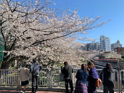 Meguro River Park