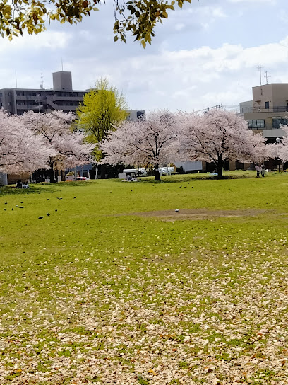 Kawasaki city Recreation Ground