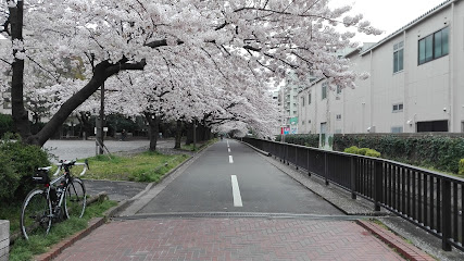 Sendaiborigawa Park