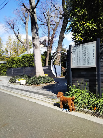向ノ原遺跡B地点