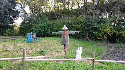 Forest of Production