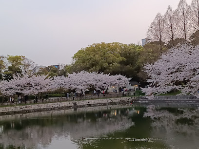 Sample Cherry Trees
