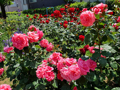 2-Chome South Arakawa Park