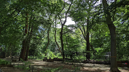 Mitsuinomori Park