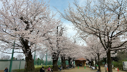 Hanegi Park Hilltop Square