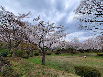 Maioka Park